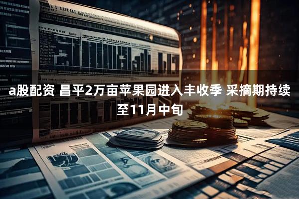 a股配资 昌平2万亩苹果园进入丰收季 采摘期持续至11月中旬