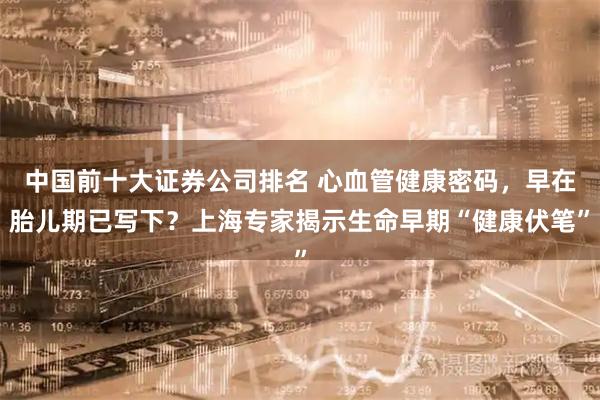 中国前十大证券公司排名 心血管健康密码，早在胎儿期已写下？上海专家揭示生命早期“健康伏笔”