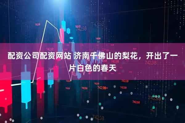 配资公司配资网站 济南千佛山的梨花，开出了一片白色的春天